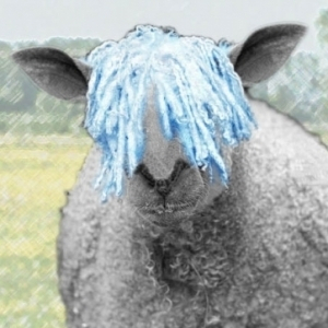 Schaf (fka Bionk)